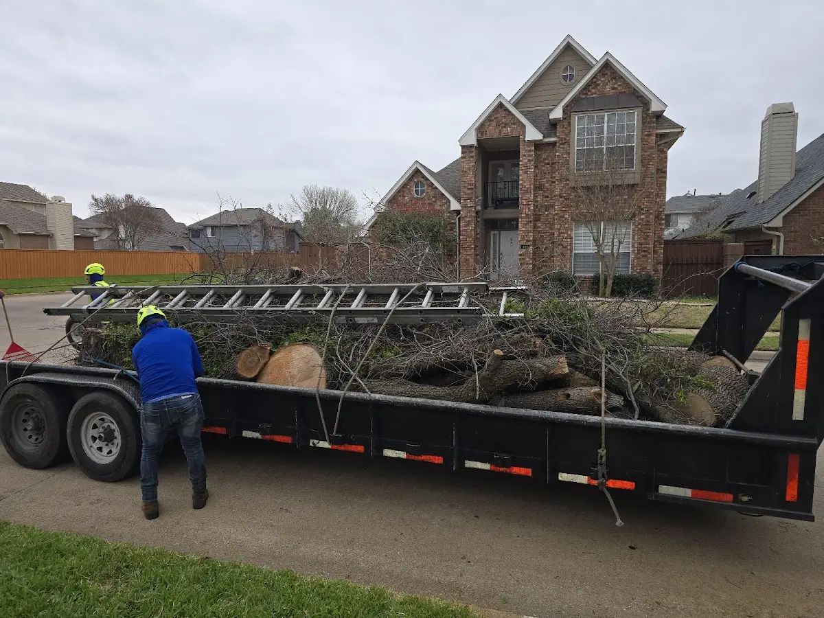 Expert Crown Reduction with proper safety equipment in Ganado